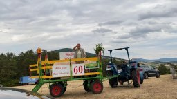 whatsapp image 2022-07-21 at 18.19.05